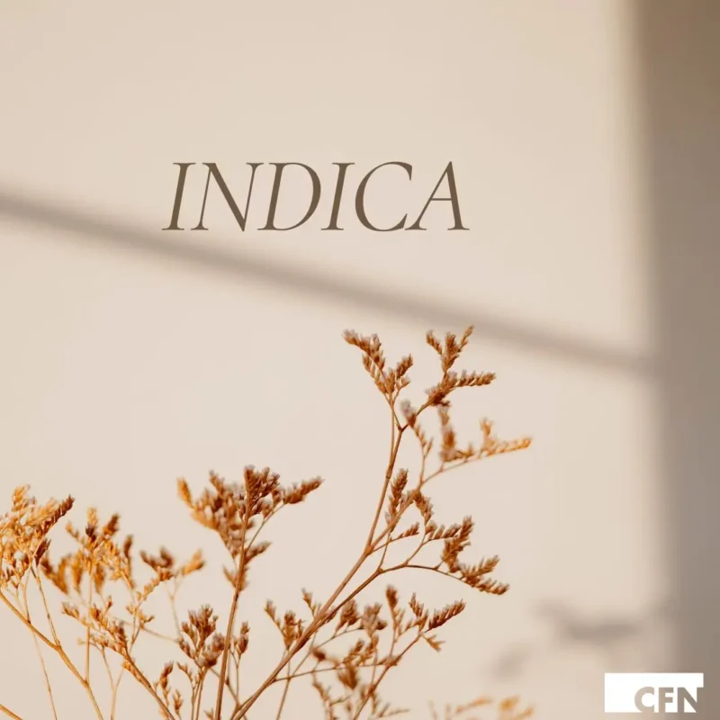 INDICA