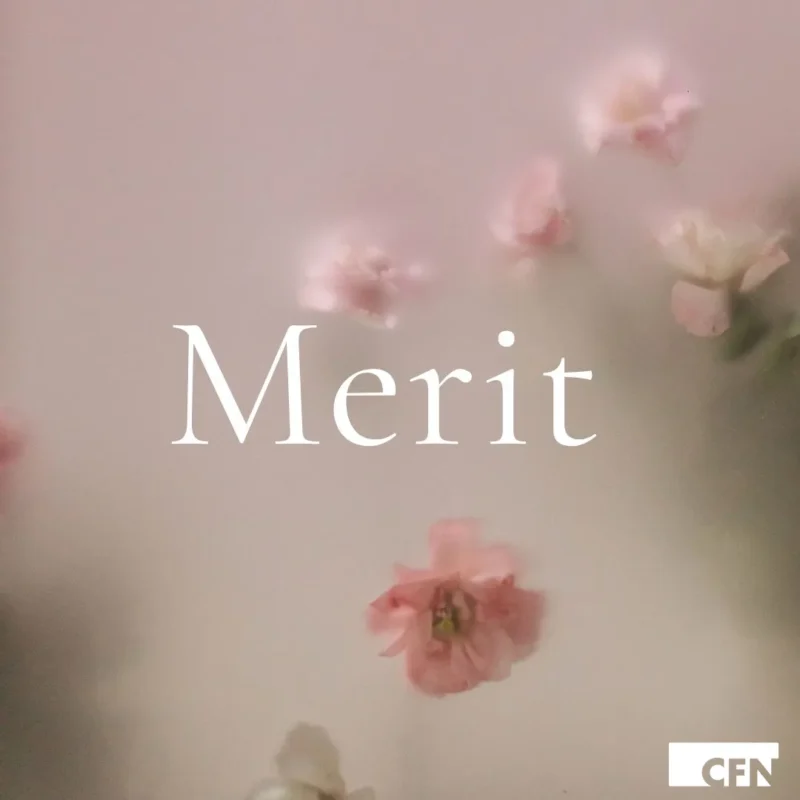 MERIT