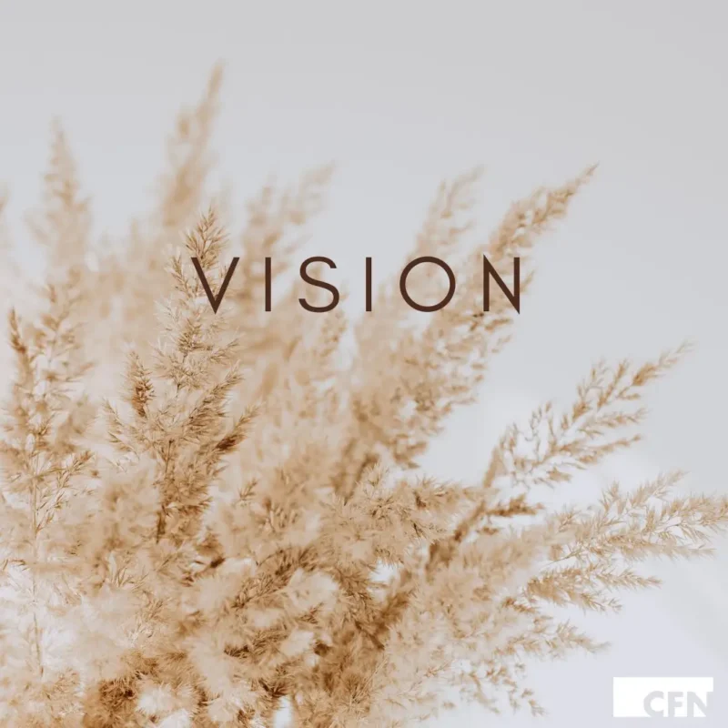 VISION